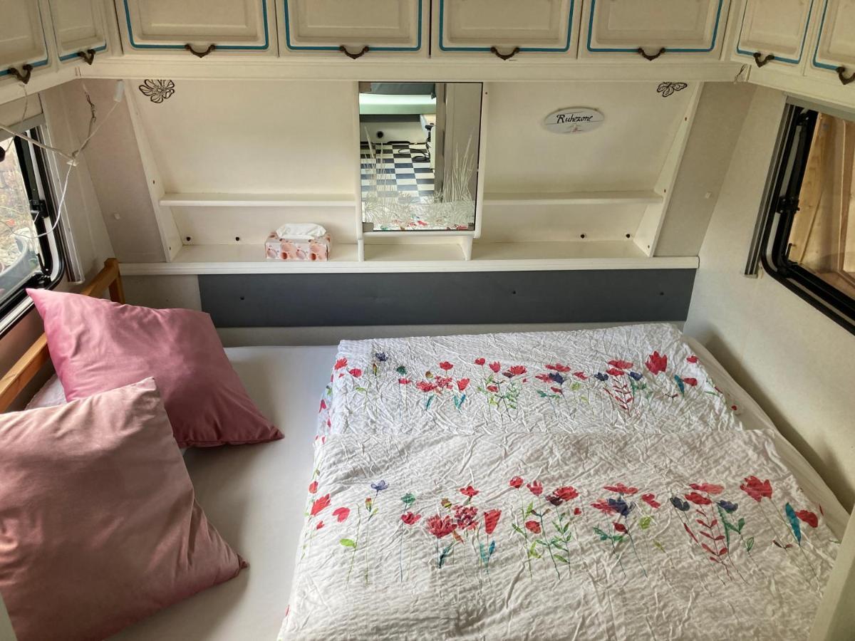 Вилла Tiny House Anneliese Hunde Okay Oberbettingen Экстерьер фото